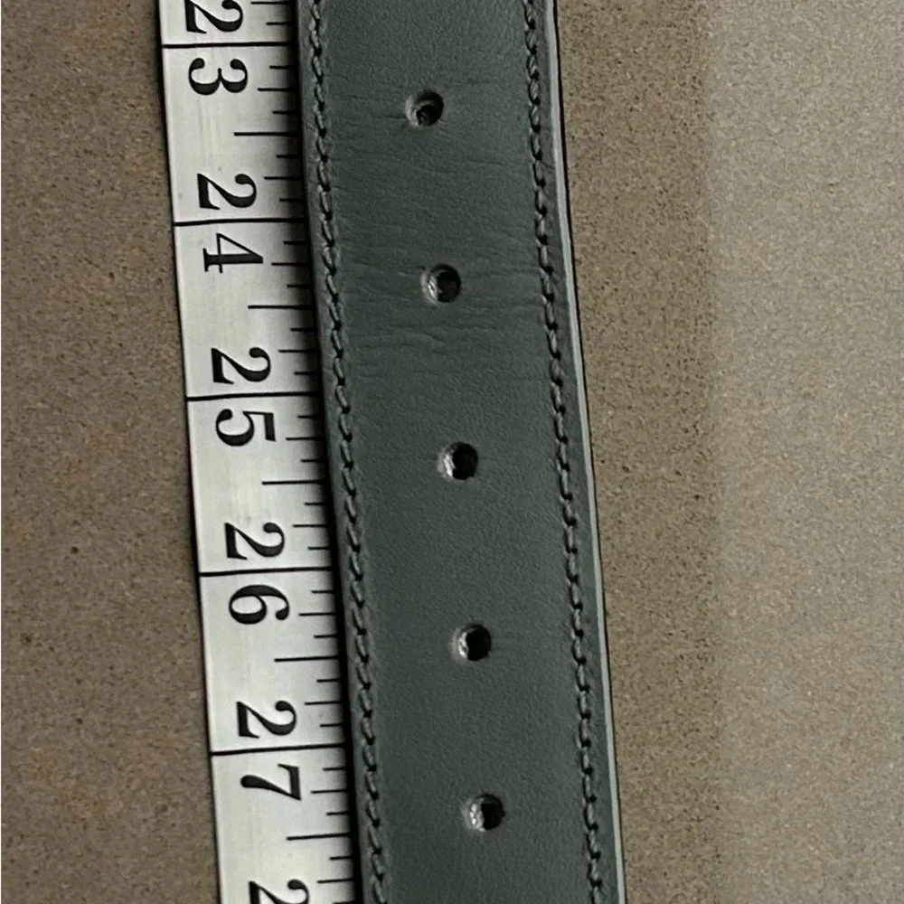 Dog collar Stylish Gray Dog Collar with Modern Appeal. Sturdy!